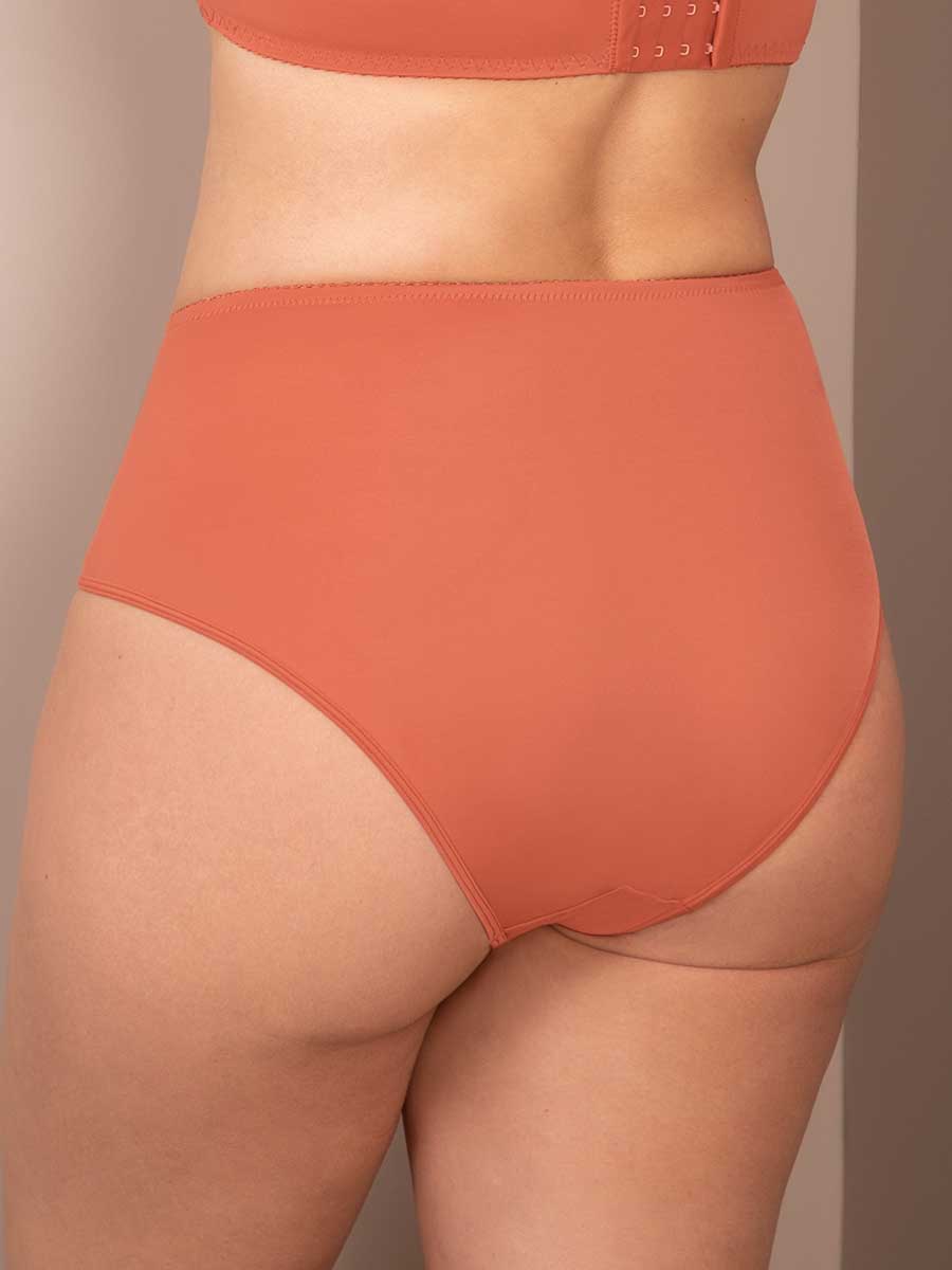 Panty Clásico Bronce