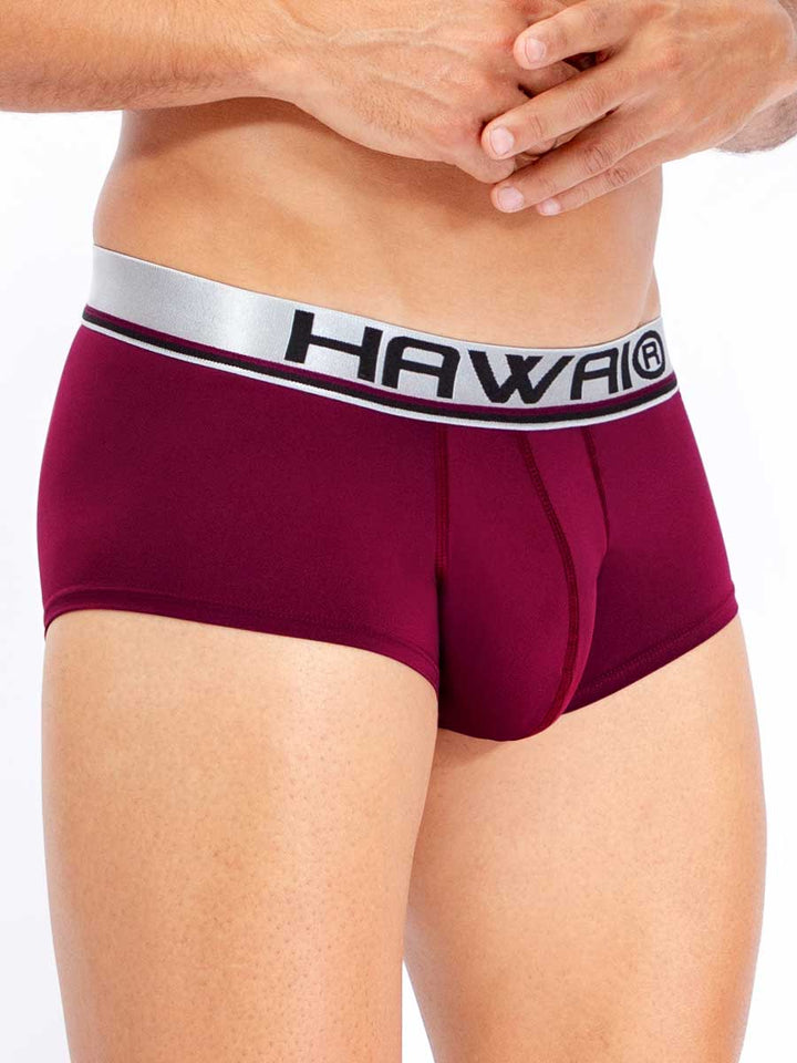 Brief Vinotinto