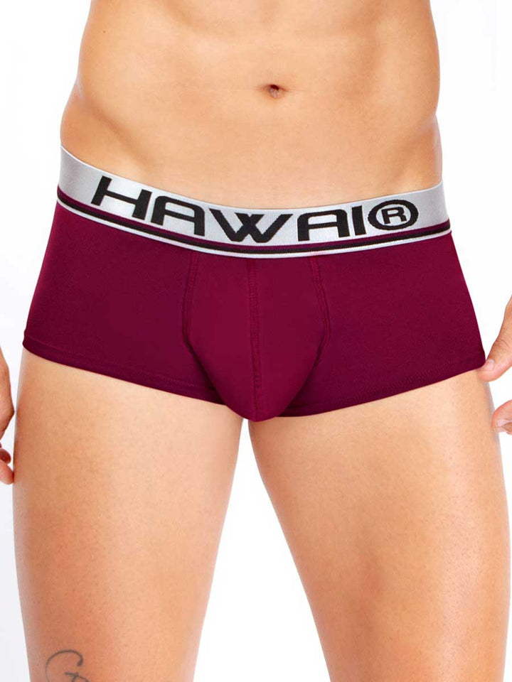 Brief Vinotinto