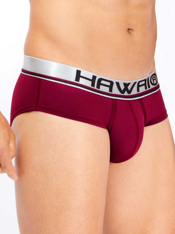 Hip Brief Vinotinto