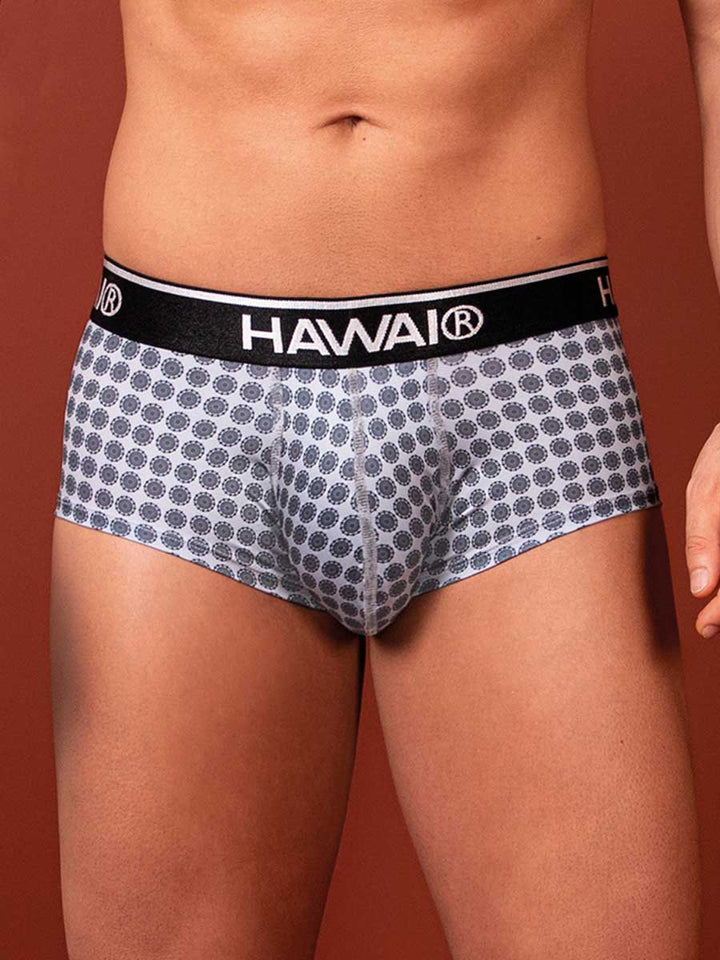 Brief Estampado Gris