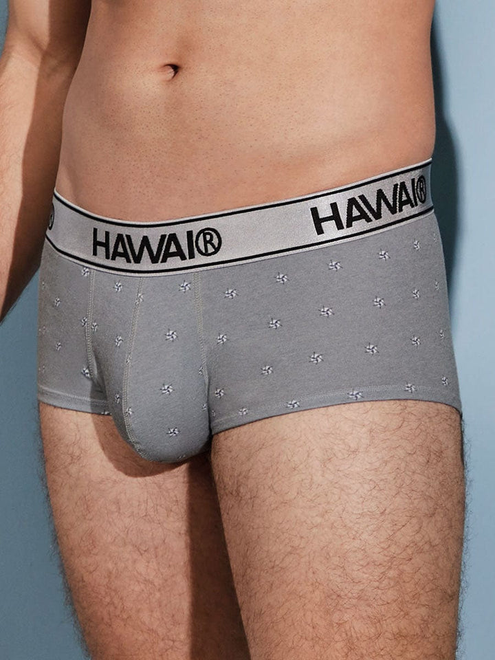 Brief Estampado Gris