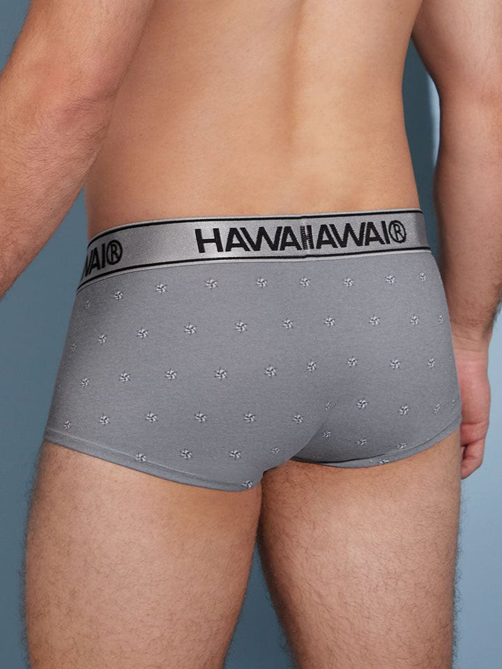 Brief Estampado Gris